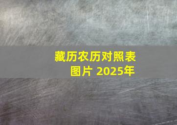 藏历农历对照表图片 2025年